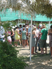 carrathool_shade_bar